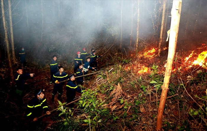 Vĩnh Phúc: Gần 10 ha rừng trồng cháy trong đêm