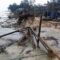Quảng Trị: Bão gây mất điện diện rộng, biển xâm thực mạnh