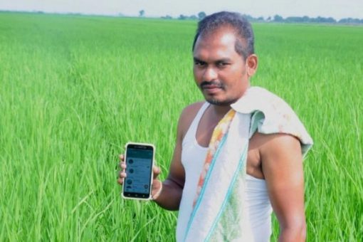 Bắt sâu bằng điện thoại ở Ấn Độ